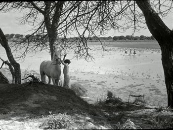 Movie still from “White Mane” (1953), directed by Albert Lamorisse – A man standing next to a horse on a dirt field; Wide shot, Low angle