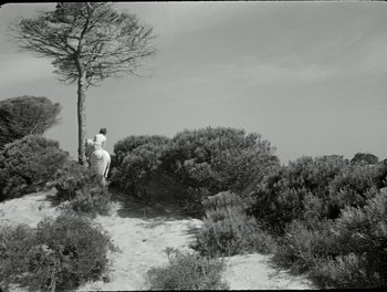 Movie still from “White Mane” (1953), directed by Albert Lamorisse – A man standing on a hill next to a tree and some bushes; Extreme Wide shot, Low angle