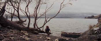 Movie still from “Willow” (1988), directed by Ron Howard – A woman standing next to a tree near a body of water; Wide shot, High angle