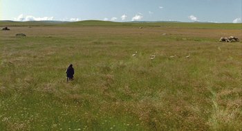 Movie still from “Winged Migration” (2001), directed by Jacques Cluzaud – A person standing in the middle of an open grassy field; Extreme Wide shot, High angle