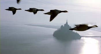 Movie still from “Winged Migration” (2001), directed by Jacques Cluzaud – A flock of birds flying over a body of water; Extreme Wide shot, Low angle
