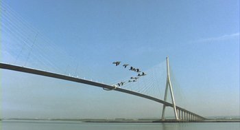 Movie still from “Winged Migration” (2001), directed by Jacques Cluzaud – Birds flying over a bridge over a body of water; Extreme Wide shot, Low angle