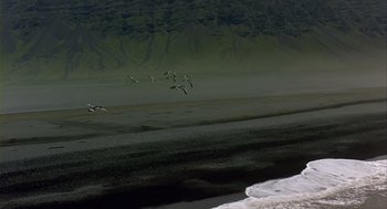 Movie still from “Winged Migration” (2001), directed by Jacques Cluzaud – A flock of birds flying over the ocean; Extreme Wide shot, High angle