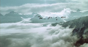 Movie still from “Winged Migration” (2001), directed by Jacques Cluzaud – A flock of birds flying over the clouds in the sky; Extreme Wide shot, Low angle