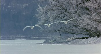 Movie still from “Winged Migration” (2001), directed by Jacques Cluzaud – A flock of birds flying over a snow covered field; Extreme Wide shot, Low angle