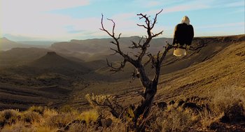 Movie still from “Winged Migration” (2001), directed by Jacques Cluzaud – An eagle sitting on top of a dead tree in the desert; Extreme Wide shot, Low angle
