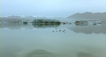 Movie still from “Winged Migration” (2001), directed by Jacques Cluzaud – A flock of birds flying over a body of water; Extreme Wide shot, High angle