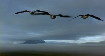 Movie still from “Winged Migration” (2001), directed by Jacques Cluzaud – A flock of birds flying over a body of water; Extreme Wide shot, Low angle