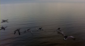 Movie still from “Winged Migration” (2001), directed by Jacques Cluzaud – A flock of birds flying over a body of water; Extreme Wide shot, High angle