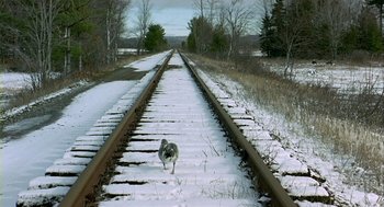 Movie still from “Winged Migration” (2001), directed by Jacques Cluzaud – A bird is walking on the train tracks in the snow; Extreme Wide shot, High angle