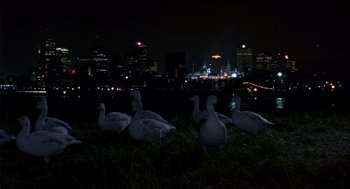 Movie still from “Winged Migration” (2001), directed by Jacques Cluzaud – A group of ducks sitting on top of a grass covered field at night; Extreme Wide shot, Low angle