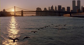 Movie still from “Winged Migration” (2001), directed by Jacques Cluzaud – A flock of birds flying over a body of water; Extreme Wide shot, High angle