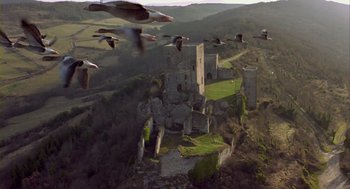 Movie still from “Winged Migration” (2001), directed by Jacques Cluzaud – A flock of birds flying over an abandoned castle; Extreme Wide shot, High angle