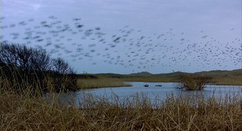 Movie still from “Winged Migration” (2001), directed by Jacques Cluzaud – A flock of birds flying over a body of water; Extreme Wide shot, Low angle