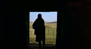 Movie still from “Winged Migration” (2001), directed by Jacques Cluzaud – A woman standing in a doorway looking out at a field; Wide shot, Low angle