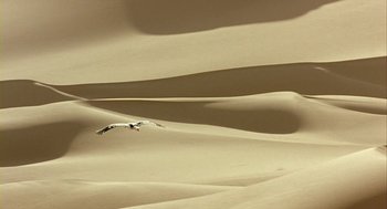 Movie still from “Winged Migration” (2001), directed by Jacques Cluzaud – A bird flying over a sand dune in the desert; Extreme Wide shot, High angle