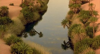 Movie still from “Winged Migration” (2001), directed by Jacques Cluzaud – A body of water surrounded by palm trees and grass; Extreme Wide shot, Overhead angle