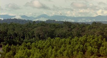 Movie still from “Winged Migration” (2001), directed by Jacques Cluzaud – A bird flying in the sky over a lush green forest; Extreme Wide shot, High angle