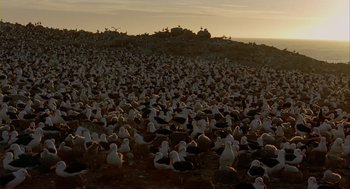Movie still from “Winged Migration” (2001), directed by Jacques Cluzaud – A large flock of birds sitting on top of a hill; Extreme Wide shot, High angle