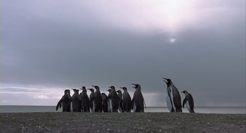 Movie still from “Winged Migration” (2001), directed by Jacques Cluzaud – A group of penguins standing on top of a grass covered field; Extreme Wide shot, Low angle
