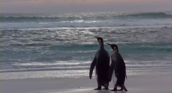 Movie still from “Winged Migration” (2001), directed by Jacques Cluzaud – A couple of penguins standing on top of a sandy beach; Wide shot, Low angle