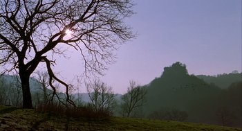 Movie still from “Winged Migration” (2001), directed by Jacques Cluzaud – The sun is setting over a field with trees and mountains in the background; Extreme Wide shot, Low angle
