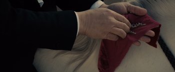 A man's hands on a horse