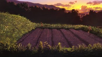 Movie still from “Wolf Children” (2012), directed by Mamoru Hosoda – A person standing in the middle of a field at sunset; Extreme Wide shot, High angle