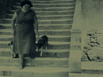 Movie still from “Women Reply” (1975), directed by Agnès Varda – An older woman walking down a set of stairs with a dog; Wide shot, High angle