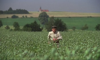 Movie still from “Woyzeck” (1979), directed by Werner Herzog – An old man in a field of green plants; Wide shot, Low angle
