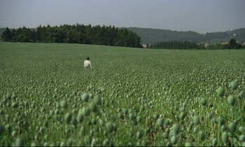 Movie still from “Woyzeck” (1979), directed by Werner Herzog – A person standing in the middle of a green field; Extreme Wide shot, High angle