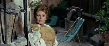 Movie still from “Yesterday, Today and Tomorrow” (1963), directed by Vittorio De Sica – A woman holding an orange and white cat in her arms; Close Up shot, Low angle