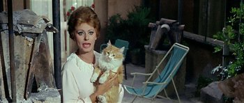 Movie still from “Yesterday, Today and Tomorrow” (1963), directed by Vittorio De Sica – A woman holding an orange and white cat in her arms; Medium shot, Over the shoulder angle