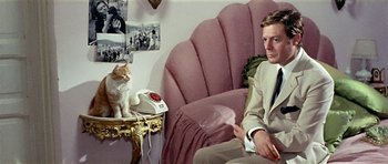 Movie still from “Yesterday, Today and Tomorrow” (1963), directed by Vittorio De Sica – A man sitting in a chair next to a cat on a table; Medium shot, High angle