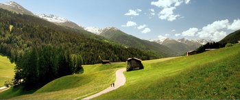 Movie still from “Youth” (2015), directed by Paolo Sorrentino – Two people walking down a path in the middle of a field; Extreme Wide shot, High angle