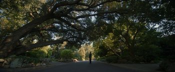 Movie still from “Bardo: False Chronicle of a Handful of Truths” (2022), directed by Alejandro G. Iñárritu – A man standing on a skateboard on a street; Extreme Wide shot, Low angle