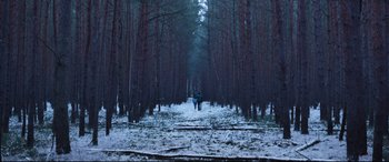 Movie still from “Berlin Syndrome” (2017), directed by Cate Shortland – Two people are walking through the woods on a snowy day; Extreme Wide shot, Low angle