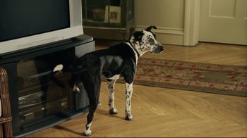 Movie still from “Bruce Almighty” (2003), directed by Tom Shadyac – A dog standing in front of a tv on the floor; Wide shot, High angle