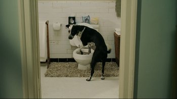 Movie still from “Bruce Almighty” (2003), directed by Tom Shadyac – A black and white dog standing on a toilet in a bathroom; Wide shot, High angle