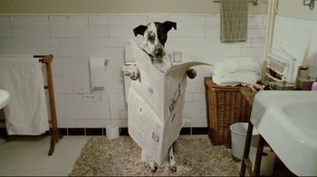 Movie still from “Bruce Almighty” (2003), directed by Tom Shadyac – A black and white dog standing on top of toilet paper; Wide shot, Low angle