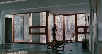 Movie still from “Chloe” (2009), directed by Atom Egoyan – A woman standing in front of a window in a living room; Wide shot, Over the shoulder angle