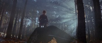 Movie still from “Conan the Barbarian” (1982), directed by John Milius – A man sitting on top of a rock in the woods; Wide shot, Low angle