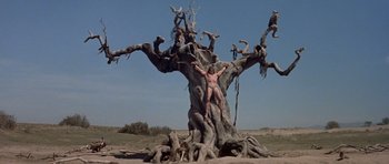 Movie still from “Conan the Barbarian” (1982), directed by John Milius – A naked man hanging from a tree in the middle of a desert; Wide shot, Low angle