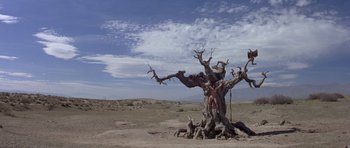 Movie still from “Conan the Barbarian” (1982), directed by John Milius – An old tree in the middle of the desert; Extreme Wide shot, Low angle