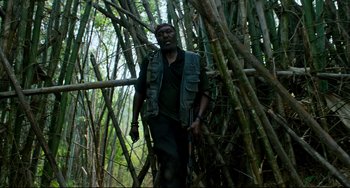 Movie still from “Da 5 Bloods” (2020), directed by Spike Lee – A man standing next to a bunch of trees; Medium shot, Low angle