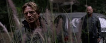 Movie still from “Bird Box” (2018), directed by Susanne Bier – A person in tall grass; Close Up shot, Over the shoulder angle