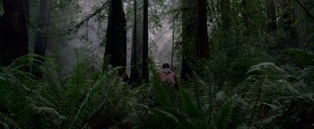 Movie still from “Bird Box” (2018), directed by Susanne Bier – A man sitting in the middle of a forest surrounded by trees; Extreme Wide shot, Low angle