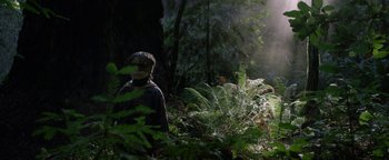 Movie still from “Bird Box” (2018), directed by Susanne Bier – A man standing in the middle of a lush green forest; Wide shot, Low angle