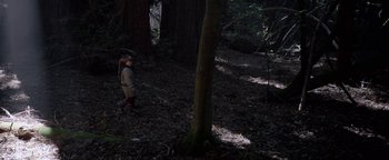 Movie still from “Bird Box” (2018), directed by Susanne Bier – A young child is walking through the woods; Wide shot, High angle