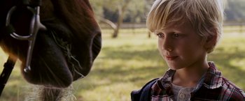Movie still from “Dear John” (2010), directed by Lasse Hallström – A young boy standing in front of a horse; Close Up shot, Over the shoulder angle